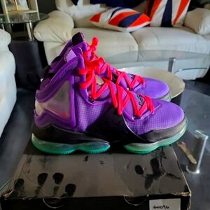 Lebron 19 Field Berry!
